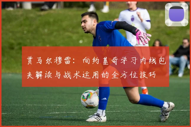 贾马尔穆雷：向约基奇学习内线包夹解读与战术运用的全方位技巧