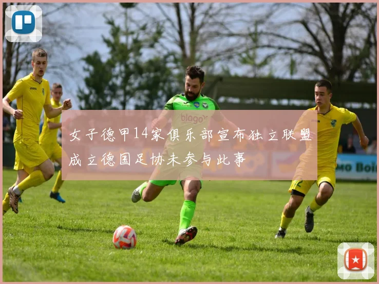 女子德甲14家俱乐部宣布独立联盟成立德国足协未参与此事