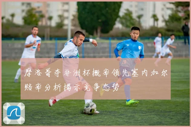 摩洛哥夺非洲杯概率领先塞内加尔赔率分析揭示竞争态势